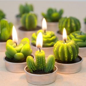 NIB Cute Cactus Tea Light Gift Set